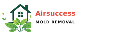 Airsuccess Mold Removal